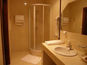 Biskupice珀柯杰戈瑟林贾姆酒吧旅馆的带淋浴、盥洗盆和盥洗盆的浴室
