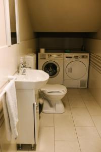 克卢日-纳波卡Meteor apartment XXL的浴室配有卫生间水槽和洗衣机。