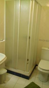 科英布拉默艾达公寓的带淋浴和卫生间的浴室