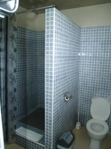 路易港Champ de Mars B&B的蓝色瓷砖浴室设有卫生间和淋浴。