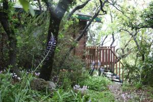 埃米瑞姆依瑞兹夏格利 - 加利利土地乡村民宿的一座花园,花园内种有树木,设有木栅栏