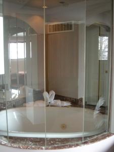 隆格伊圣休伯特大汽车旅馆的带浴缸的玻璃淋浴间