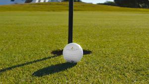 贝纳卢普-卡萨斯维耶哈斯费尔普莱高尔夫Spa度假酒店的草地上一根杆上的高尔夫球