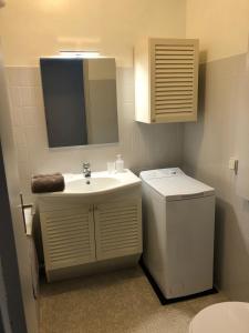 普罗旺斯艾克斯Aix Homes的一间带水槽、卫生间和镜子的浴室