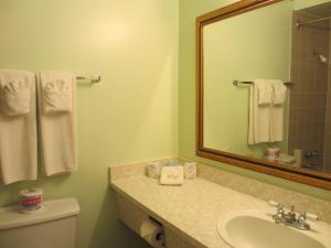 霍普温莎汽车旅馆 的一间带水槽、镜子和卫生间的浴室