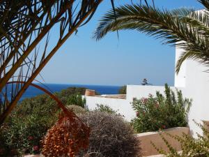 菲尼卡斯Villa Annita, with extraordinary view near the sea的从棕榈树房子的花园中欣赏到