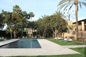 帕尔马海滩波萨达迪厄斯莫里酒店的公园里的一个游泳池,有椅子和棕榈树