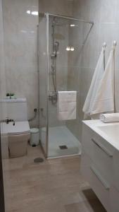 圣地亚哥－德孔波斯特拉AdA Apartamento的带淋浴、卫生间和盥洗盆的浴室