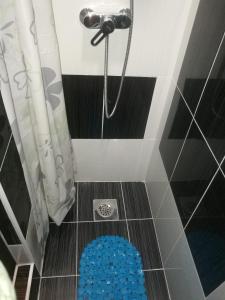 巴尼亚卢卡Guesthouse Vila Puzic的浴室内配有蓝色垫子和淋浴