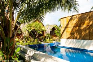 吉利特拉旺安红棉树小屋旅馆的棕榈树屋旁的游泳池