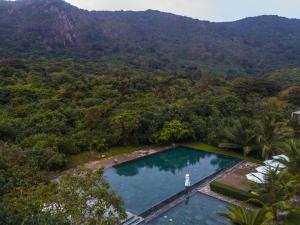 昆岛鲍罗神鹰精品温泉度假村的森林中央游泳池的空中景观