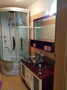TeiuşHotel Floare de Colt的一间带水槽和淋浴的浴室