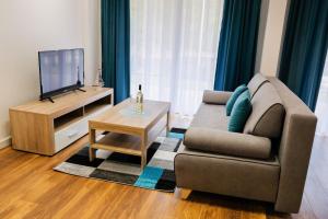 奥古斯图Apartamenty ZEFIR - MARINA BORKI的带沙发和电视的客厅