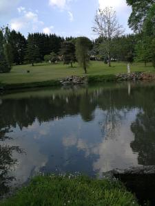 Lamothe-Montravelle jardin d Eau的高尔夫球场中央的池塘
