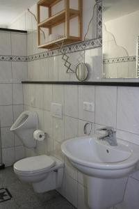 LutzerathFamilienfreundliche Ferienwohnung für 6 Personen的一间带水槽、卫生间和镜子的浴室