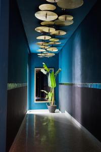 马拉喀什Numa Marrakech的一间种植了盆栽植物和蓝色墙壁的房间
