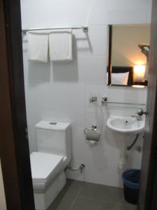 关丹法戈精品酒店的白色的浴室设有卫生间和水槽。