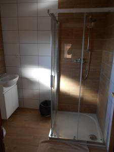 摩拉瓦新村Penzion Imrichovi的浴室里设有玻璃门淋浴