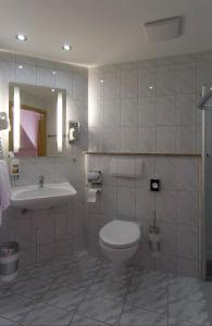 施韦比施哈尔索奈克酒店的一间带卫生间和水槽的浴室