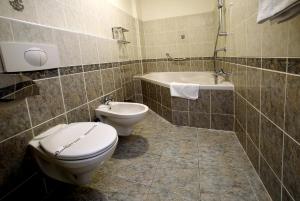 比尔森中央酒店的浴室配有卫生间、盥洗盆和浴缸。