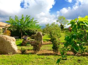 菲加里Clos Simoni的田野里种有岩石和树木的花园