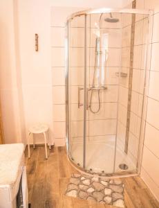 埃本塞席尔瓦努斯别墅公寓的浴室里设有玻璃门淋浴