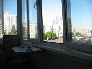 基辅Apartments near POLITECH的从窗户可欣赏到城市美景