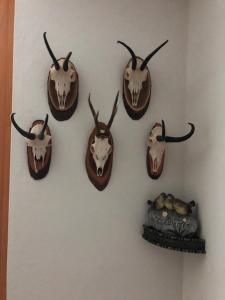 Trebesing雷瑟塔勒霍夫酒店的墙上有多种不同的面具