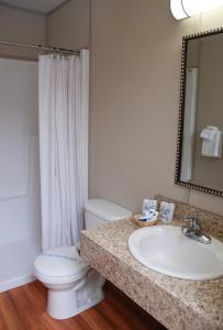道森市Triple J Hotel的一间带水槽、卫生间和镜子的浴室