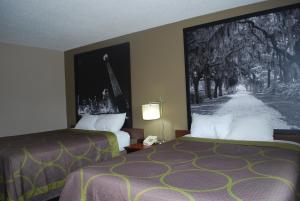 华纳罗宾斯沃纳罗宾斯速8酒店的酒店客房设有两张床,墙上挂着一张照片。