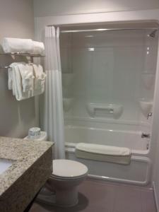 米德兰套房酒店 的一间浴室