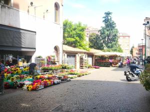 梅斯特奥罗拉酒店的花卉市场的街道