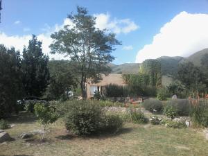塔菲德尔瓦勒Casa de Montaña Sacha Huasi的一座花园,花园内种有树木和山脉
