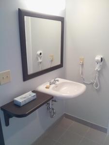 米德兰米德兰套房酒店 的一间带水槽和镜子的浴室