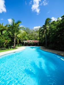 坎布塔尔Hotel Playa Cambutal的一座拥有蓝色海水和棕榈树的游泳池