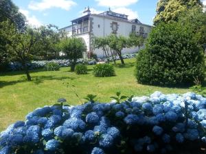 VilabadePazo Vilabade的建筑物前的一堆蓝色花