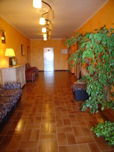 拉维斯瓦尔阿达纽斯旅馆的大厅配有沙发和盆栽植物