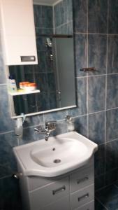 弗拉涅S&G Apartment的浴室设有白色水槽和镜子