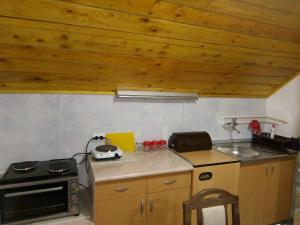 索科矿泉村Apartman Mika的一间带木制天花板和炉灶的小厨房
