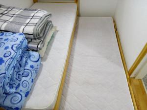 索科矿泉村Apartman Mika的配有2张床铺的白色和蓝色毯子