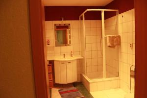 IrxlebenFerienwohnung Götze的带淋浴和盥洗盆的浴室