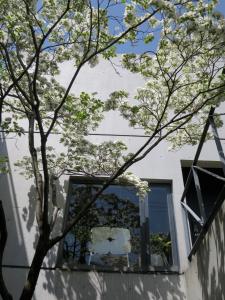 吹田AH87 Osaka的白色建筑前方的树,有窗户