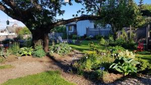 纳奈莫Campbell Cottage B&B的种着树和花的花园