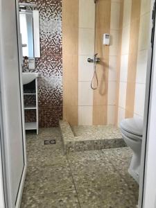 科斯蒂内什蒂Babylonia Resort的带淋浴、卫生间和盥洗盆的浴室