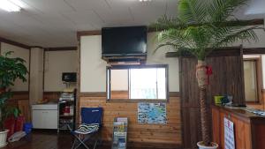 濑户内町Guesthouse Minami的一间客厅,配有棕榈树和电视
