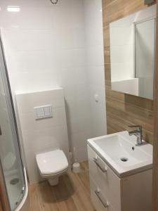 斯克拉斯卡波伦巴apartament的白色的浴室设有卫生间和水槽。