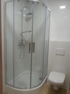 斯克拉斯卡波伦巴apartament的浴室设有玻璃淋浴间和卫生间