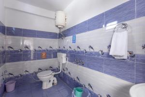 ChitkalZostel Chitkul的浴室设有卫生间,铺有蓝色和白色瓷砖。
