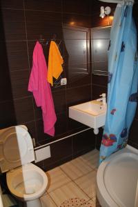 哈尔科夫Современная 1-комнатная квартира的浴室配有卫生间、盥洗盆和淋浴。
