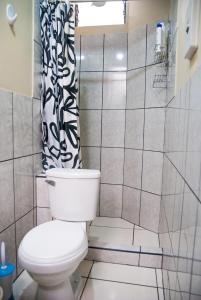 乌鲁班巴B&B Valcava的一间带卫生间和淋浴的浴室